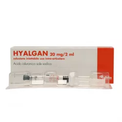 Гиалган Фидия (Hyalgan Fidia) / Гиалганбио шприц 2мл 20мг 1шт в Уфе и области фото